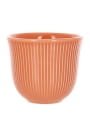 Чашка Loveramics Embossed Tasting Cup 150мл, цвет оранжевый Чашка Loveramics Embossed Tasting Cup 150мл, цвет оранжевый